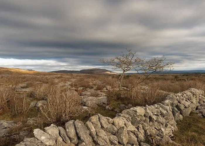 Vakantiehuis The Turning Of The Tide *